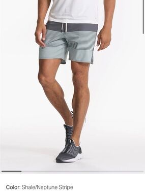Men's Vuori Trail Short in Shale/Neptune Stripe - Size Small